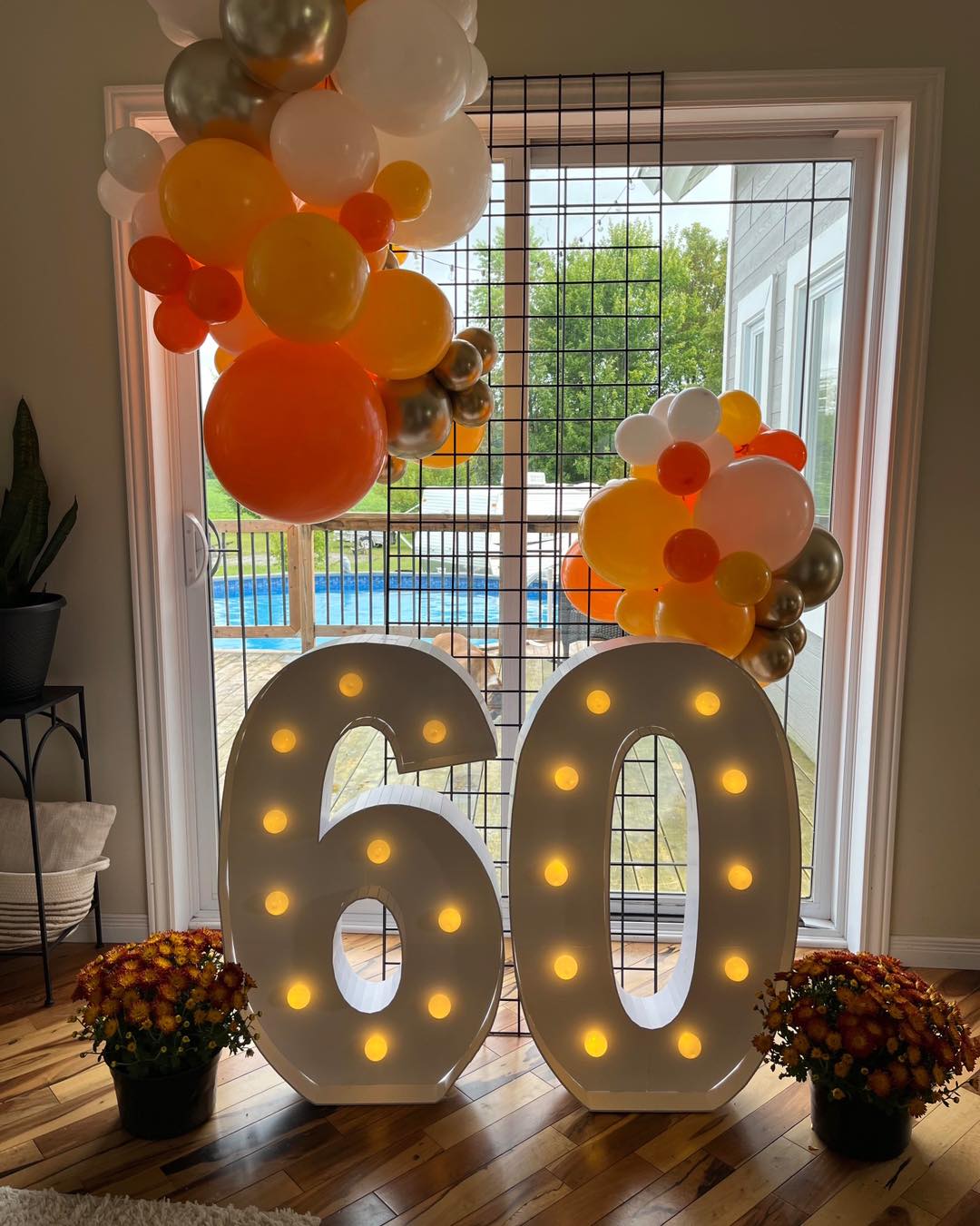 Structure d'arche grillage noir